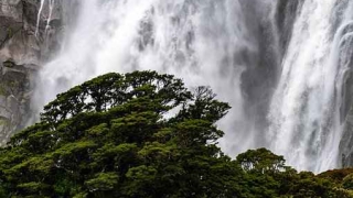 男火命和女金命婚姻合不合 能结婚吗