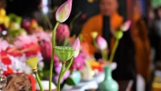 阴债不还 婚姻难成什么意思 还阴债找仙家还吗