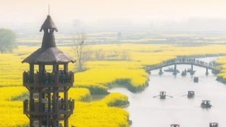 今年事业处处受阻怎么办,4招帮你走出事业低谷,咸鱼翻身