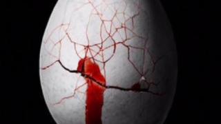 婴灵缠身父亲的表现很明显