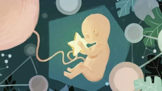 怎么知道婴灵跟着，就怕突然空气安静