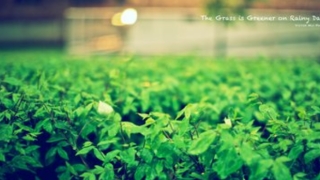 元素周期表里的115号元素有多恐怖 比原子弹的威力还大