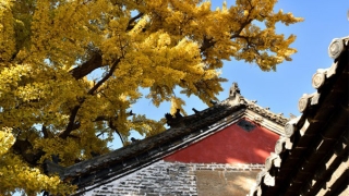 阴债查询表查看我们一生欠阴债数额