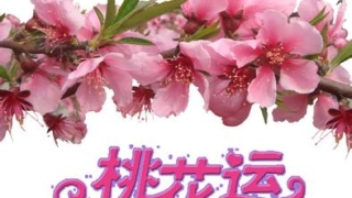 怎么快速招桃花运,如何快速催桃花运