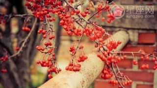 犯太岁会带来什么危害？