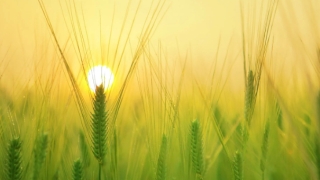 堕胎后的婴灵报复,比常人想象的要可怕