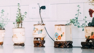 属马的人2020年是不是冲太岁?冲太岁是什么意思?