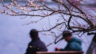 打胎需要还阴债吗,堕胎之后会有婴灵在跟着,就需要还阴债