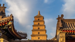 请五鬼运财符快速有效的提升财运