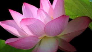 听说打掉孩子会倒霉3年，这个不是危言耸听