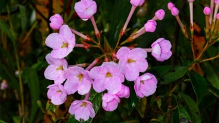 道教有效超度婴灵方法分享，教你如何化解婴灵