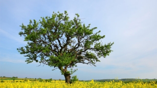 婴灵超度在哪里进行比较好，有堕胎经历的一定