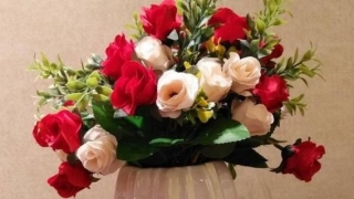 卧室养花会招桃花吗