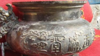 女人运气不好财运差,用绿植来改善