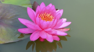 如何破解财运低迷 和别人借运是一种方法