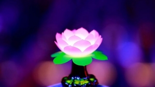 把去世多年的人挂牌超度，能否有效果 