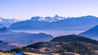 哪些人命带财库？八字财库详解