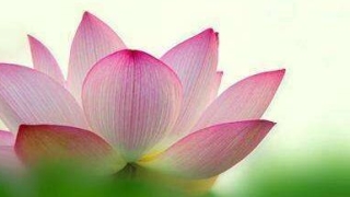 送婴灵需要什么 ， 堕胎的报应有哪些