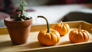 道教最简单有效的超度亡灵分享