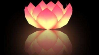 被流产的孩子和父母的缘分很深