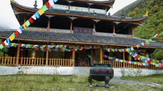 还寿生债表文，运势不佳就是因为阴债的影响