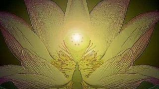 打胎的报应都有这些,需要我们赶紧化解