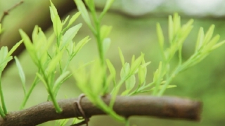 哪个时间段容易做噩梦,这两个时间段易做噩梦,要摆脱应该这样做