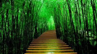 道家还阴债符 ／还阴债是上午还是晚上