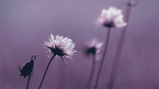 有婴灵跟着有什么感应，堕胎的女人赶紧来看