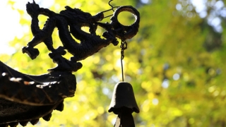 什么是还阴债，人生处处遇到困难就是阴债的影