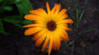 父亲久病不愈去世之后赶紧超度