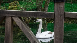 回向超度婴灵需要做到的事，这回向超度婴灵需