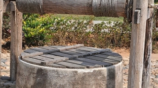 事业受阻爱情受困,了解这几点建议,让你脱坑