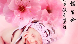 佛法确定婴灵被超度了 ， 海涛法师讲堕胎怎么办