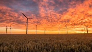 我国的道教祖师爷是谁 关于道教文化你了解多少呢