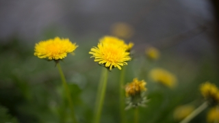 遇到了脏东西大人叫魂的方法