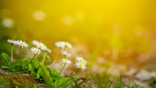 堕胎婴灵附身怎么样才能够帮助超度？