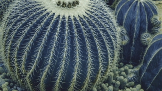 阴债还完好处，还阴债的流程也是很重要