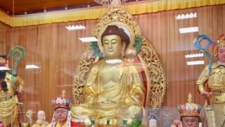 分享一个堕胎的孩子再来投胎真实案例