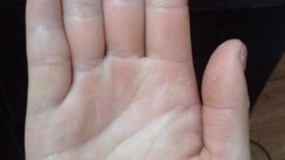 如何从手相上看财运