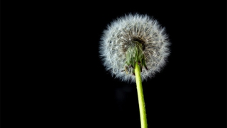 久病不愈寿衣冲喜，化解病痛作用也很好