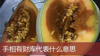 手相有财库代表什么意思