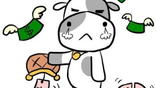 八字无财库能否发财