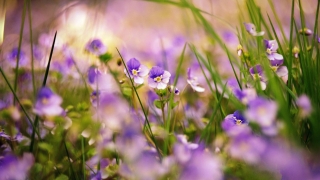 睡觉辟邪方法，这几招非常有效