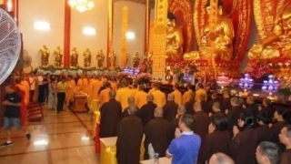 补财库反馈是什么样子?