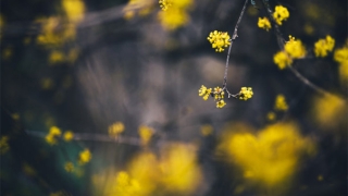阴债文表填写，还阴债的表文需要有人来写