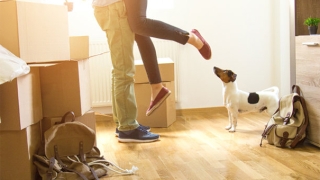 狗狗投胎转世为人，这是需要有人做超度才