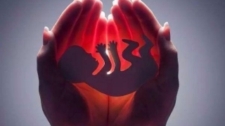 超度婴灵有效果吗 , 去寺庙给婴灵超度需要带什么