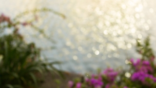 看受生债查询是成功还受生债的关键在这