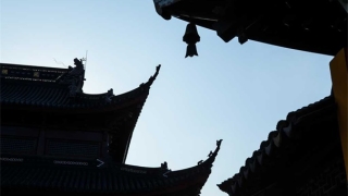 梦到久病不愈的爸爸好了,这就是因为有冤亲债